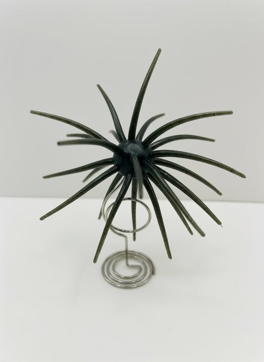 Large Spider (Urchin)