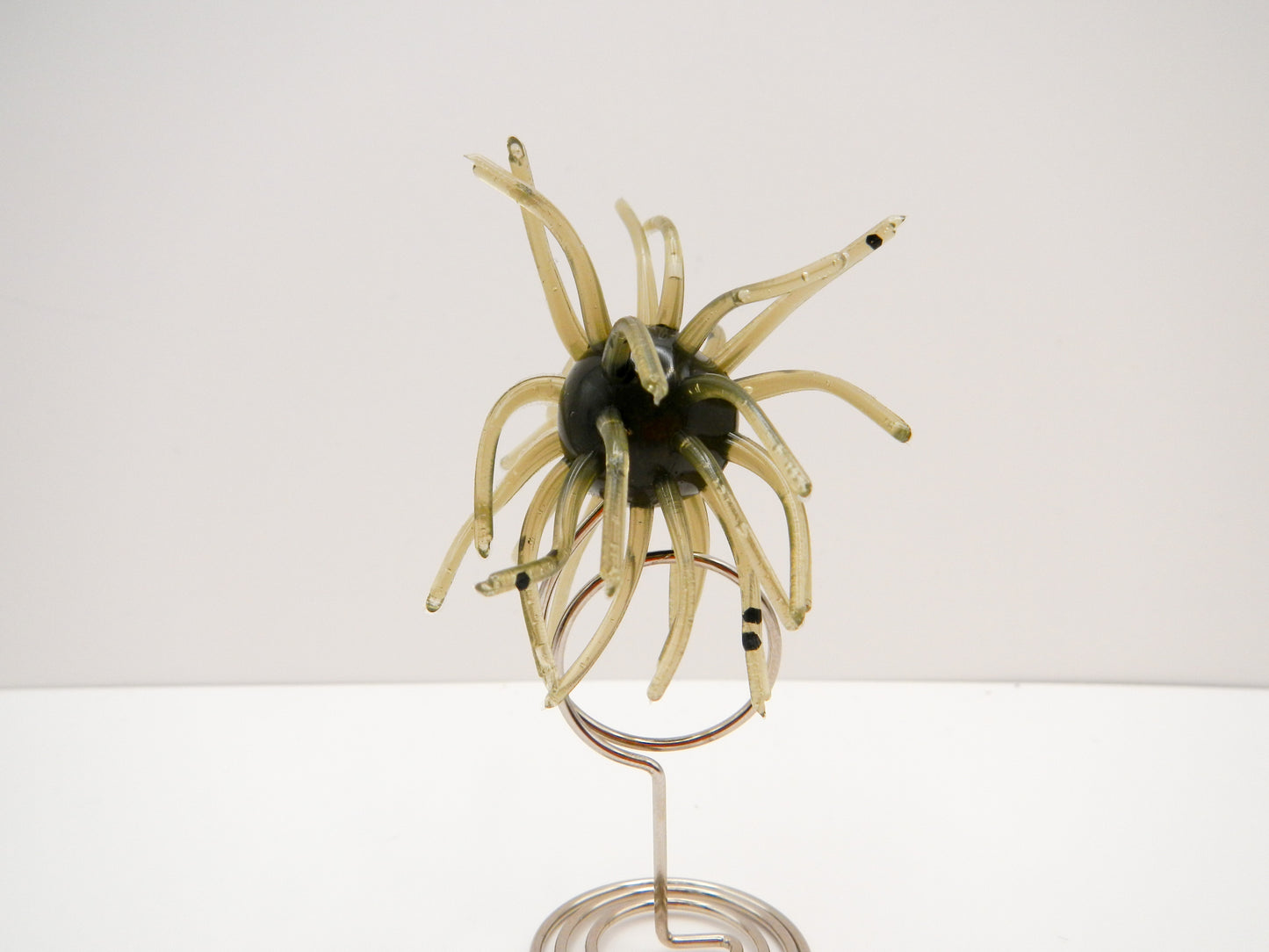 Small Spider Bait (Urchin)