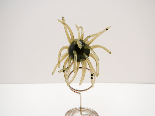 Small Spider Bait (Urchin)